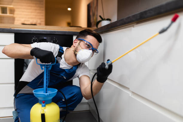 Best Wasp Removal Services  in Bazon, CA