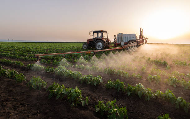 Best Commercial Pest Control Services  in Bazon, CA