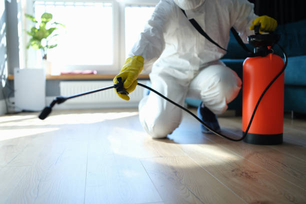 Flea Control Services in Cabazon, CA