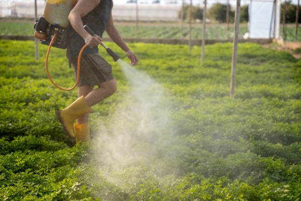 Professional Pest Control in Cabazon, CA